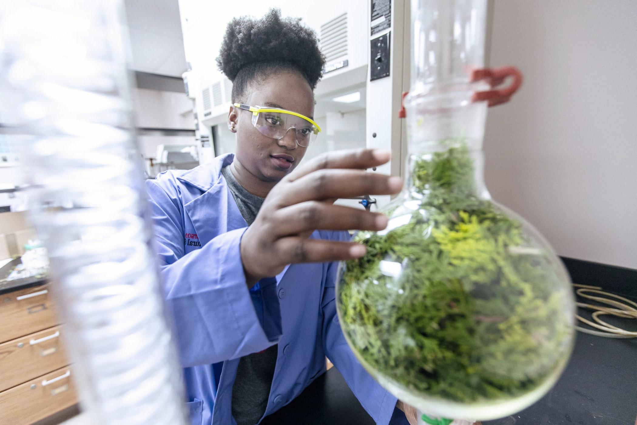 McPherson College student studying in a lab.